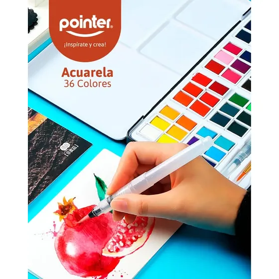 Acuarelas Solida Pointer 36 Colores Pinceles Esponja Bandeja