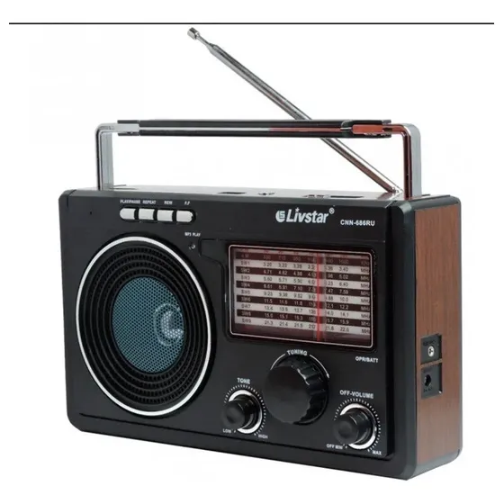 Radio Antigo Para Levar Zona Rural Pesca E Casa Usb Bluetoot