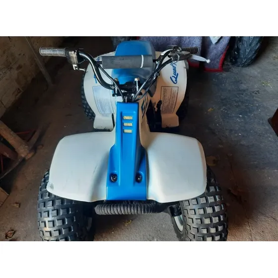 Suzuki  Lt50(patentado Con Papeles)