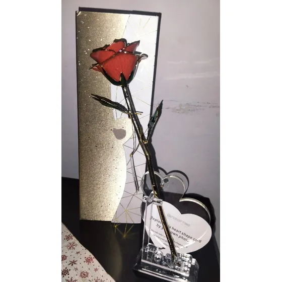 Rosa Preservada Bañada En Oro 24k
