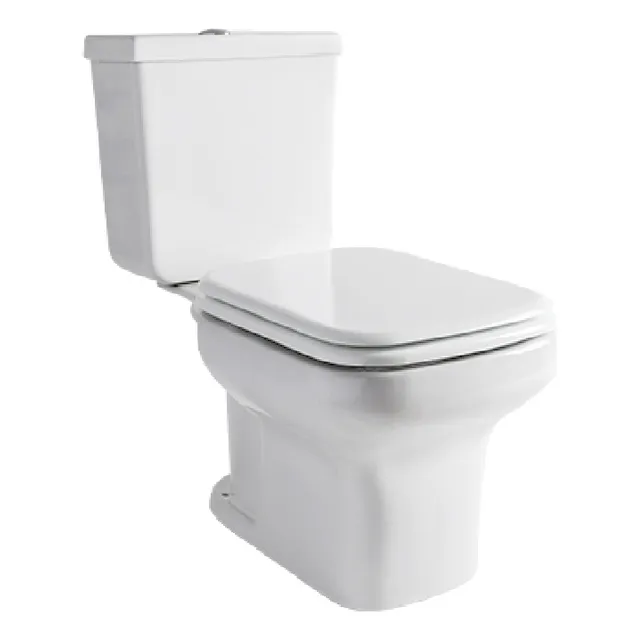 Combo Ferrum Limay Inodoro Largo + Deposito Apoyo Dual