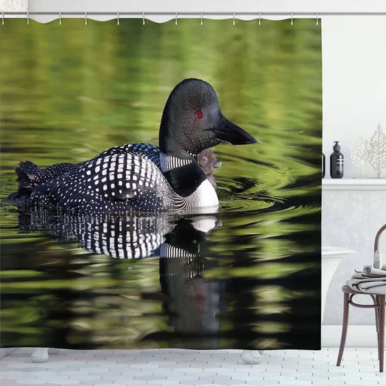 Ambesonne Loon Cortina Ducha Pajaro Acuatico Nadando Un Lago