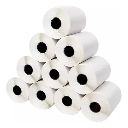10 Rolos Etiqueta Adesiva Térmica 100x80 10x8 Zebra Elgin Branco Branco (sem Impressão)