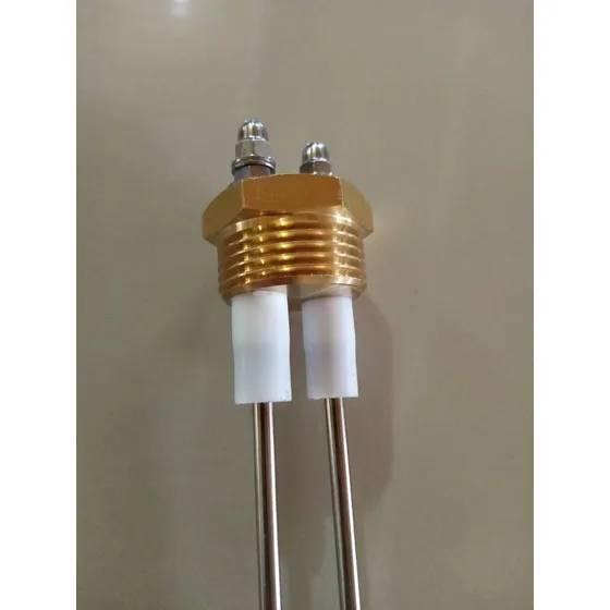 Electrodo De Nivel Sonda Sensor Warrick Caldera Vapor