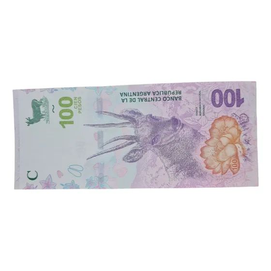 Billetes Mundiales : Argentina 100 Pesos 2018 U N C