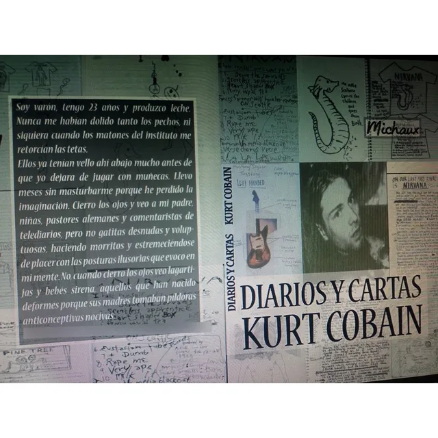 Libro Diarios Y Cartas Kurt Cobain