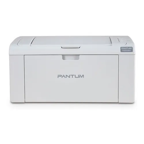 Impresora simple función monocromática Pantum Hero P2509W con wifi 220V