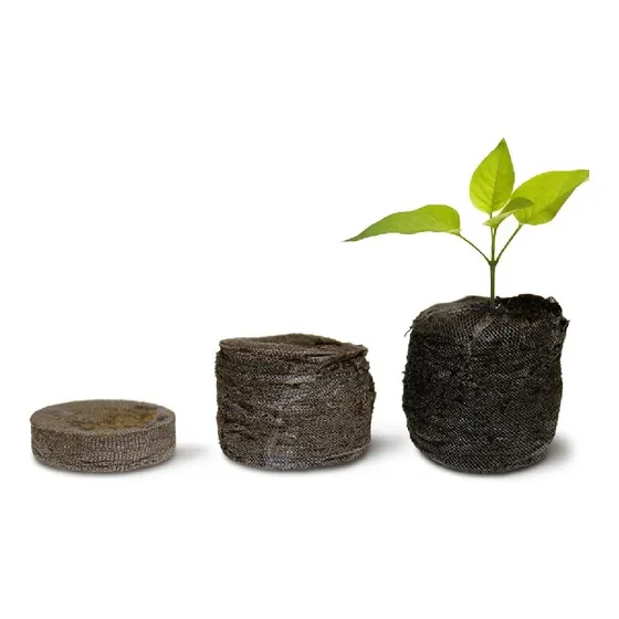 Célula De Germinação E Clonagem Jiffy - 2,5x3,5cm (50und)