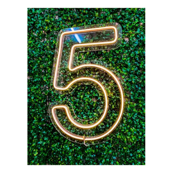 Luminoso Numero Neon Led 50 Cm Festa De 0 A 9 Cor Numero 5 Cor Numero 5 - 50 CM