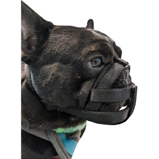 Bozal Para Perro Bulldog Inglés Bulldog Francés Bull Mastiff Bozal Para Perro Bulldog Inglés Bulldog Francés Bull Mastiff