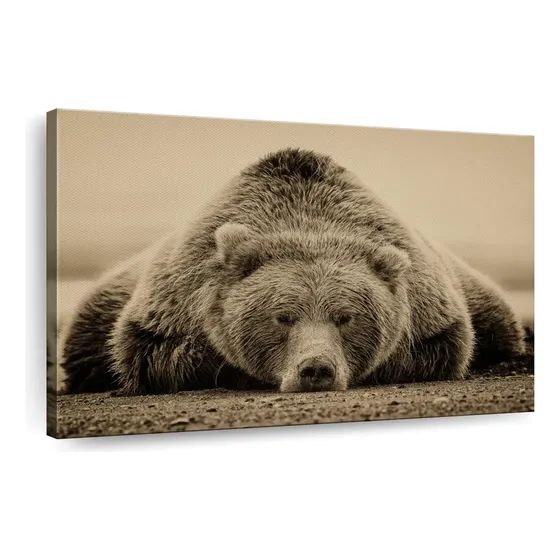 Elephant Stock Impresion Lienzo Deep Sleep I 1 Pieza 24 X