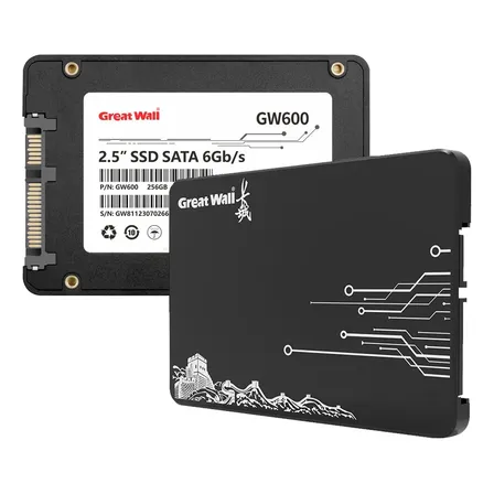 Disco Duro Sólido Ssd Interno Great Wall Gw600 256gb