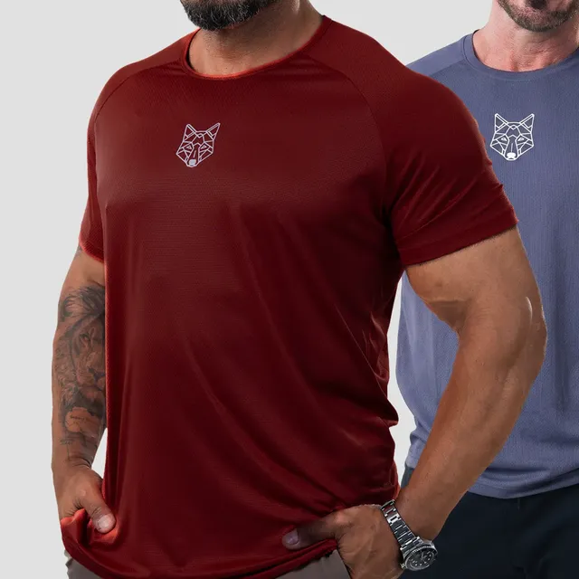 Kit 2 Camisetas Masculina Dry Alpha