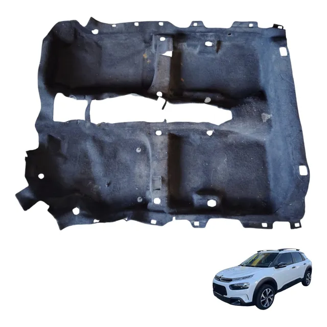 Carpe Tapete Forro Interno Assoalho C4 Cactus 2019 20 Usado