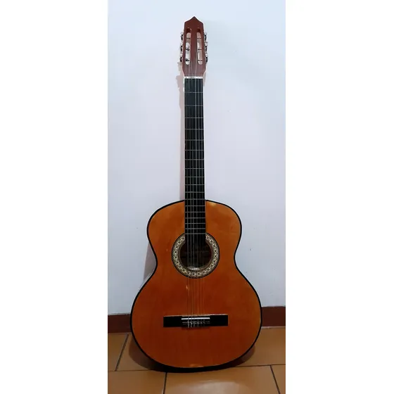 Guitarra Clásica Acústica Con Funda (poco Uso)