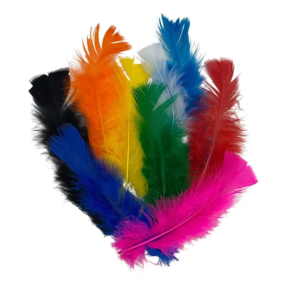 Penas Coloridas - 500 Unidades Mais De 25 Cores Cor Sortida