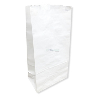 50 Bolsas Ecológicas Papel Kraft Blanca 21x12x42cm Db-20 50 Bolsas Ecológicas Papel Kraft Blanca 21x12x42cm Db-20