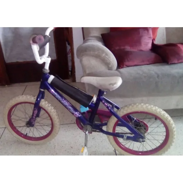 Bicicleta Usada