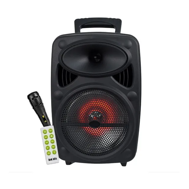 Bocina Microfono Control 8in Con Bluetooth Fm Tws Altavoces