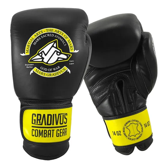 Guantes Box Sparpro Gradivus Boxeo Artes Marciales 14oz Negro/amarillo