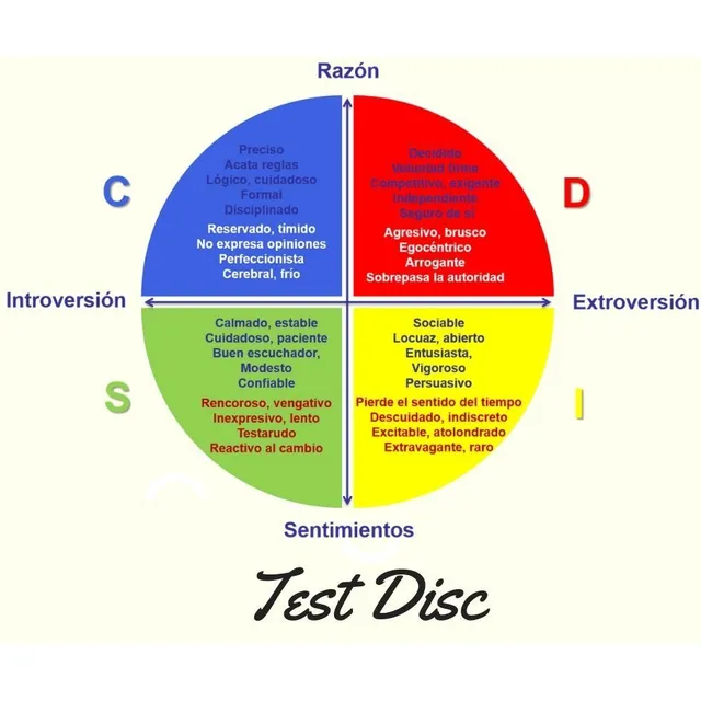 Test Psicologico Disc Perfil De Personalidad
