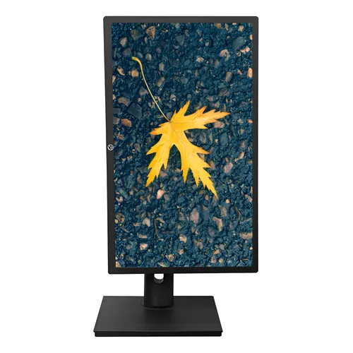 Monitor Dell P2018h De 19,5 Polegadas Gira na Vertical - Excelente