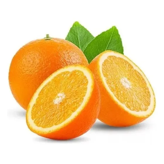 Mudas De Laranja Bahia