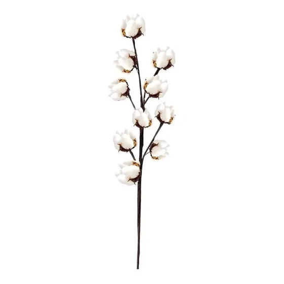 Flores De Algodón Secas Rama Floral Decoración Hogar Clic