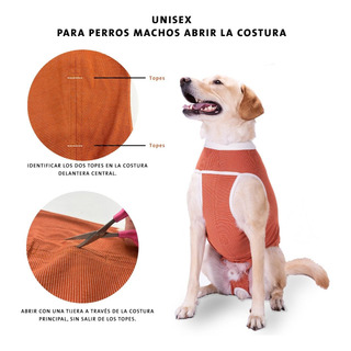 Body Cobre Castración Coopervet Talla 6 De 10 A 13 Kg Body Cobre Castración Coopervet Talla 6 De 10 A 13 Kg