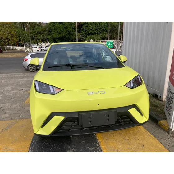 Byd Seagull 0.0 Gl 300