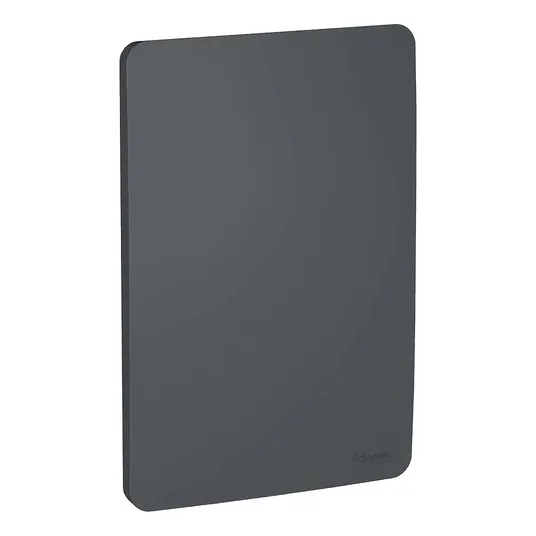 Placa ciega Orion Schneider Electric color negro Stellar black S730100294
