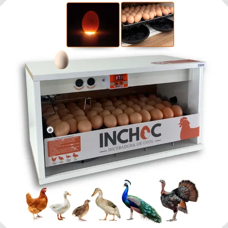 Chocadeira 50 Ovos Galinha Rolagem Automatica Com Ovoscopio 220v