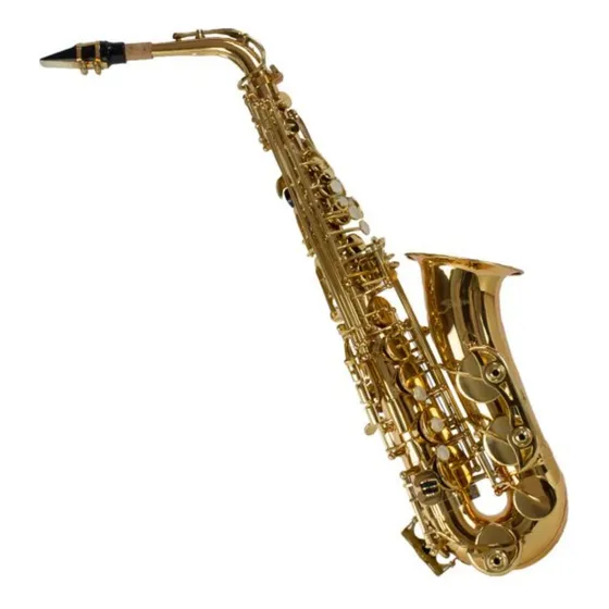 Saxofone Alto Shelter Com Semicase Sgft6430l Dourado