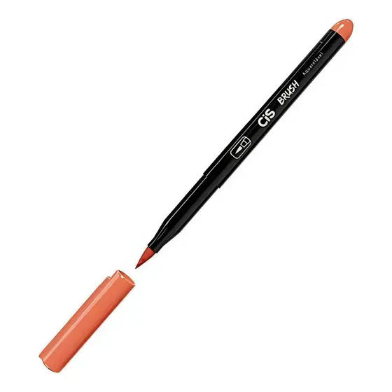 Caneta Brush Cis Aquarelável Marcador Artístico Ferrugem