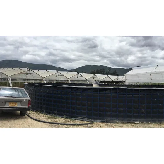 Geomembrana Hdpe, Pvc