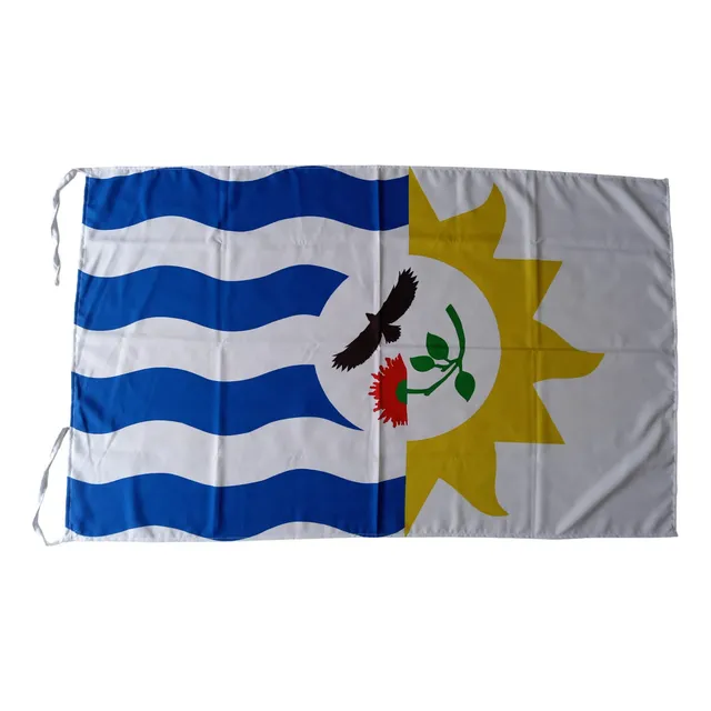 Bandera 150 X 90cm Departamentales Departamental En Tela