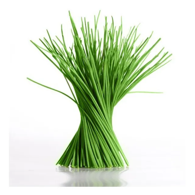 200 Semillas De Ciboulette - Huerta Premium - Aromatica