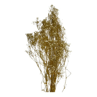 1 Ramo Flor Nube Preservada Natural Decoración Rústico 1 Ramo Flor Nube Preservada Natural Decoración Rústico