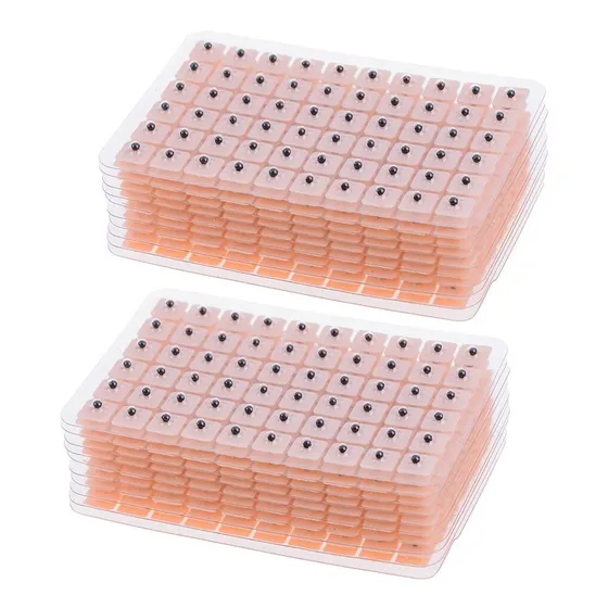 1200 Semillas De Vaccaria Para Auriculoterapia 20 Planchas