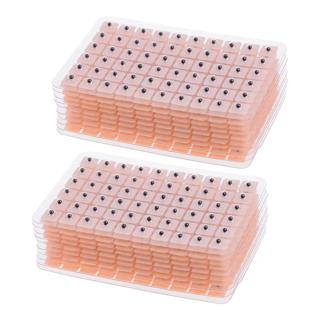 1200 Semillas De Vaccaria Para Auriculoterapia 20 Planchas