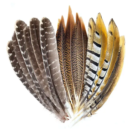 18 Natural Pluma Faisan 3 Para Idade Decoracion Repuesto