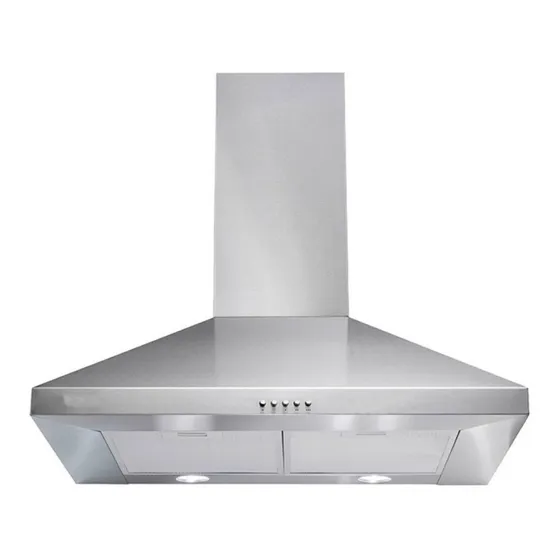 Campana Extractora De Cocina Tem T1ech A 60ss Inox Color Gris