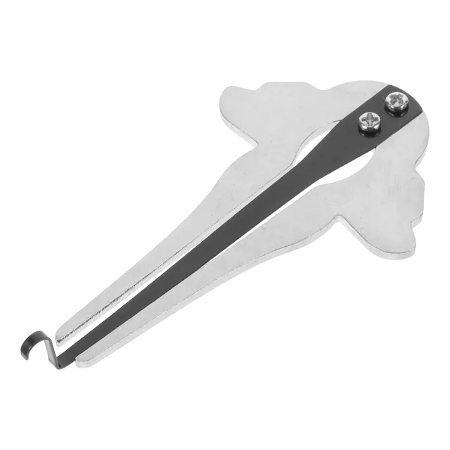 Jew's Harp Metal Mouth Harp, Maultrommel Profesional