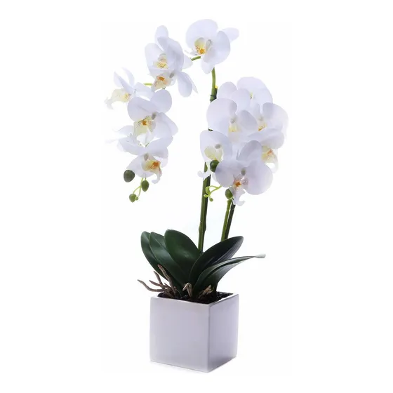 Leeman Arreglo Flor Artificial Phalaenopsis Bonsai Orqu