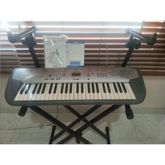 Organo Casio Ctk-230