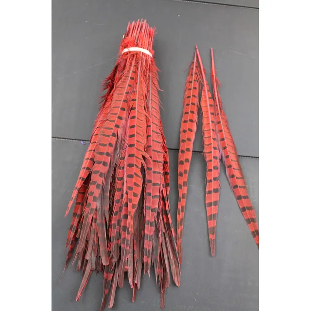 4 Color 20 Unidad Pluma Cola Faisan Cuello Redondo Larga
