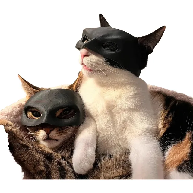Mascara Gato Batman Catman Batcat Mascara Mascota