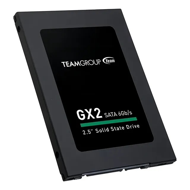 Disco sólido interno Team Group GX2 T253X2256G0C101 256GB negro