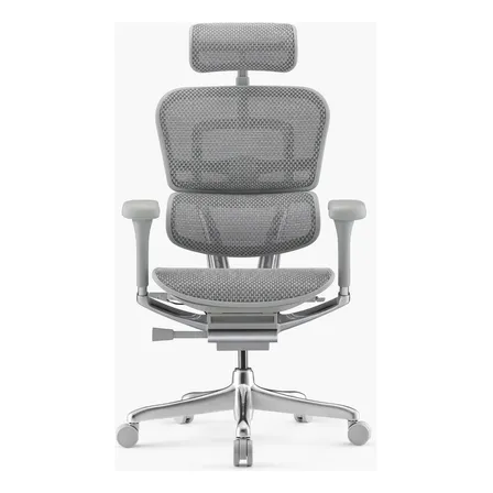Silla Ergohuman Elite 2 Gris Claro Form