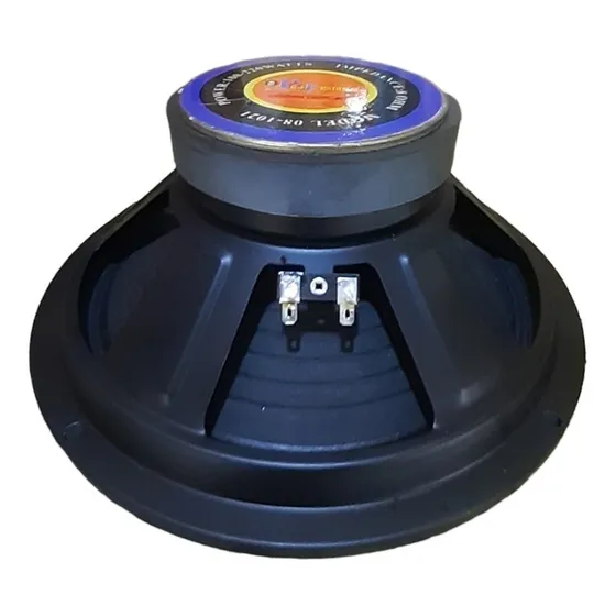 Bajo 10  Corneta Subwoofer Profesional 220 Watts 8 Ohm